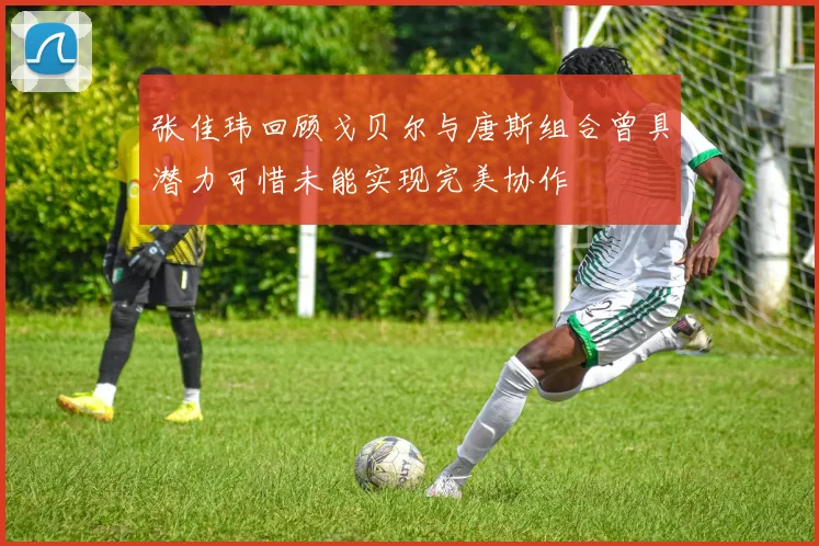 张佳玮回顾戈贝尔与唐斯组合曾具潜力可惜未能实现完美协作